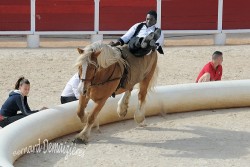 Spectacle-equestre-Palavas-30