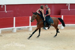 Spectacle-equestre-Palavas-80