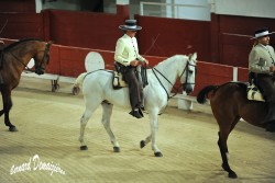 Spectacle-equestre-Palavas-10