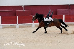 Spectacle-equestre-Palavas-100
