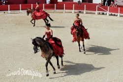 Spectacle-equestre-Palavas-11