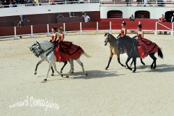 Spectacle-equestre-Palavas-12