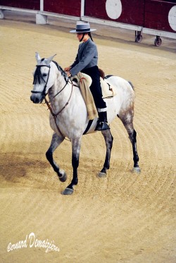 Spectacle-equestre-Palavas-19