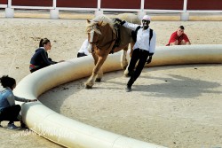 Spectacle-equestre-Palavas-19
