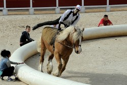 Spectacle-equestre-Palavas-21