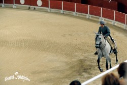 Spectacle-equestre-Palavas-22