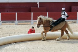 Spectacle-equestre-Palavas-23