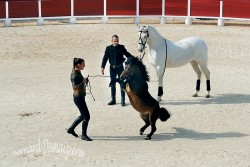 Spectacle-equestre-Palavas-34