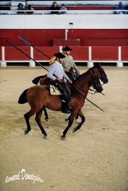 Spectacle-equestre-Palavas-38