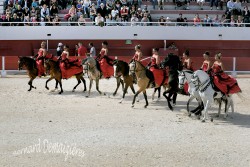 Spectacle-equestre-Palavas-3