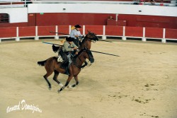 Spectacle-equestre-Palavas-43
