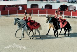 Spectacle-equestre-Palavas-4