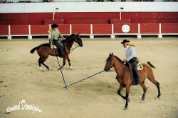 Spectacle-equestre-Palavas-5
