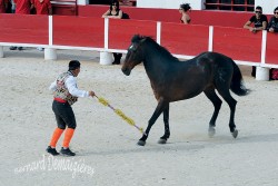 Spectacle-equestre-Palavas-54