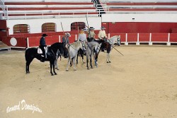 Spectacle-equestre-Palavas-58