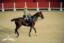 Spectacle-equestre-Palavas-59