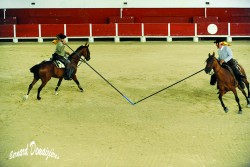 Spectacle-equestre-Palavas-6