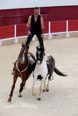 Spectacle-equestre-Palavas-61