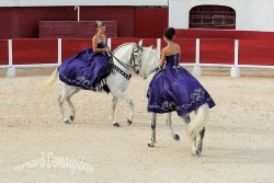 Spectacle-equestre-Palavas-70