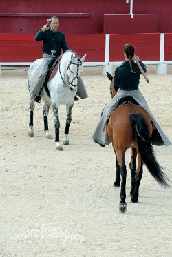 Spectacle-equestre-Palavas-73
