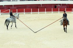 Spectacle-equestre-Palavas-74