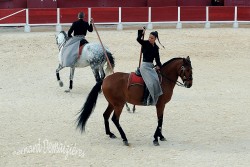 Spectacle-equestre-Palavas-76