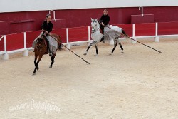 Spectacle-equestre-Palavas-78