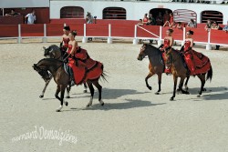 Spectacle-equestre-Palavas-7
