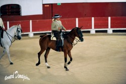 Spectacle-equestre-Palavas-8
