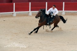 Spectacle-equestre-Palavas-86