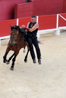 Spectacle-equestre-Palavas-88