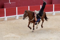 Spectacle-equestre-Palavas-89