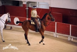 Spectacle-equestre-Palavas-9