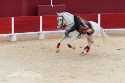 Spectacle-equestre-Palavas-93