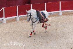 Spectacle-equestre-Palavas-94